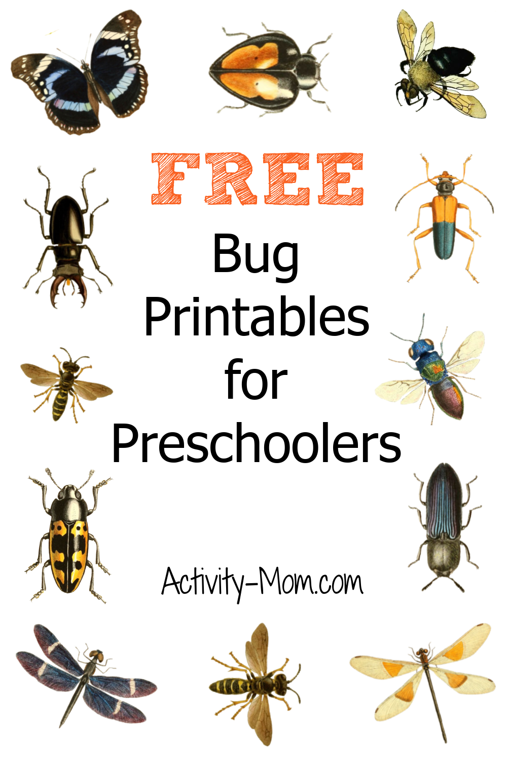 Preschool Insect Theme Printables