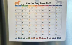 Printable Dog Feeding Chart Calendar