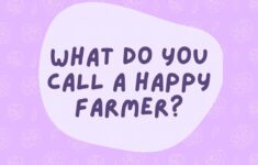 Printable Jokes For Seniors