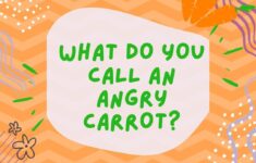 Printable Jokes For Seniors