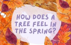 Printable Jokes For Seniors