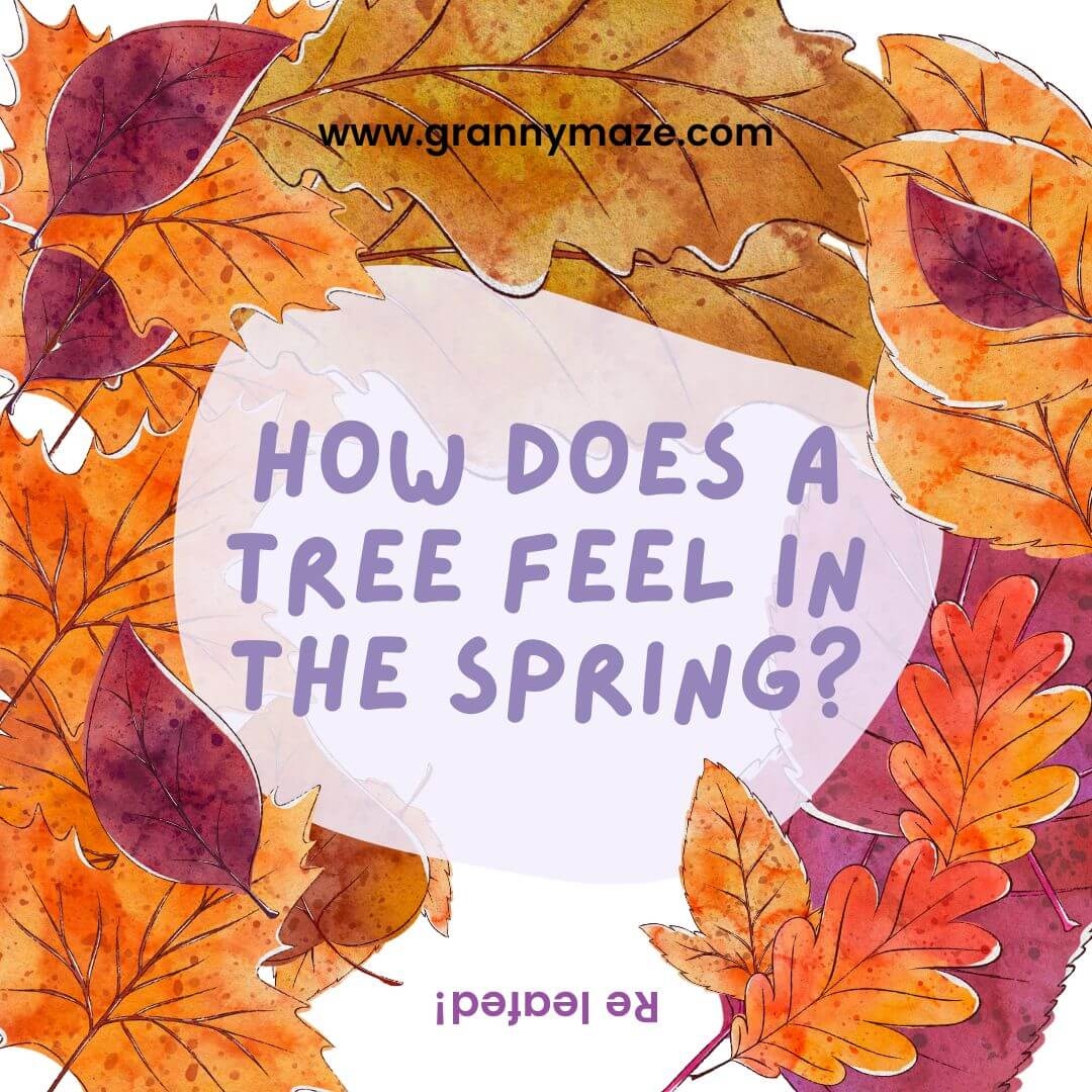 Printable Jokes For Seniors Printable Jokes For Seniors