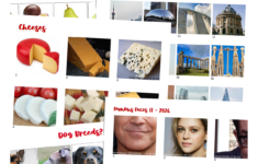 Printable Picture Quizzes