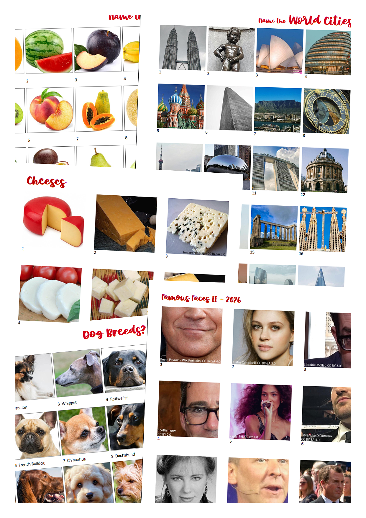 Printable Picture Quizzes Printable Picture Quizzes