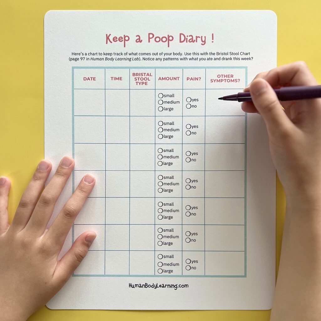 Printable Poop Diary Bristol Stool Chart