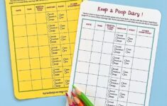 Printable Poop Diary Bristol Stool Chart