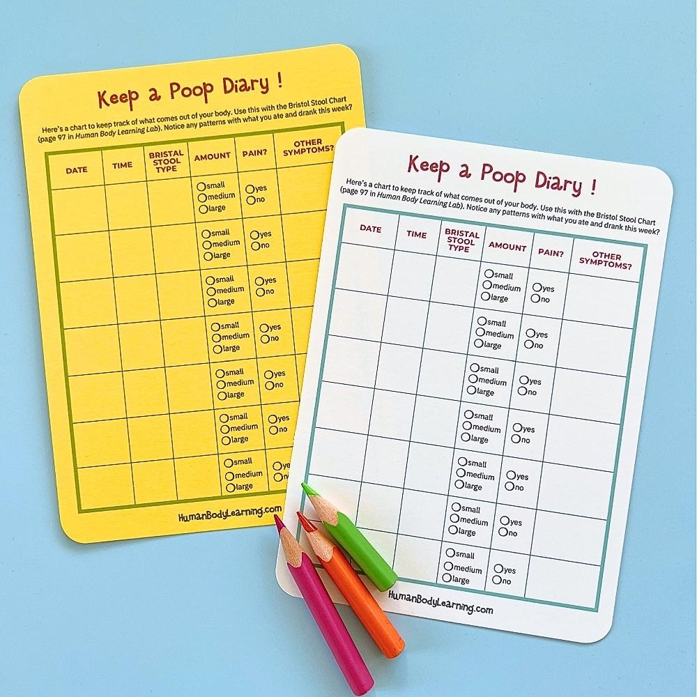 Printable Poop Diary Bristol Stool Chart