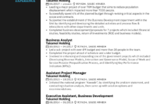 Project Manager 3 Resume Sample