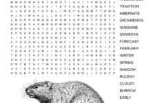 Public Puzzles