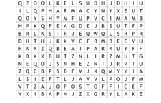 Public Puzzles