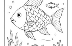 Rainbow Fish