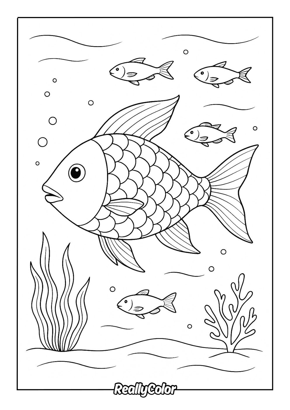 Rainbow Fish