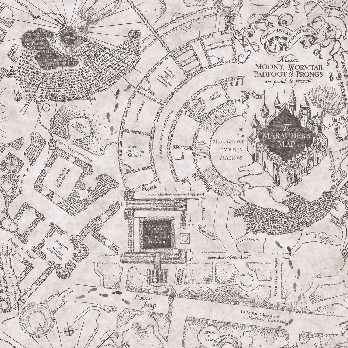 Rmk12437rl Harry Potter Marauders Map Peel Stick Wallpaper Gray Rmk12437rl Harry Potter Marauders Map Peel Stick Wallpaper Gray