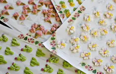 Royal Icing Transfers Endless Possibilities
