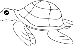 Sea Turtle Printable Template