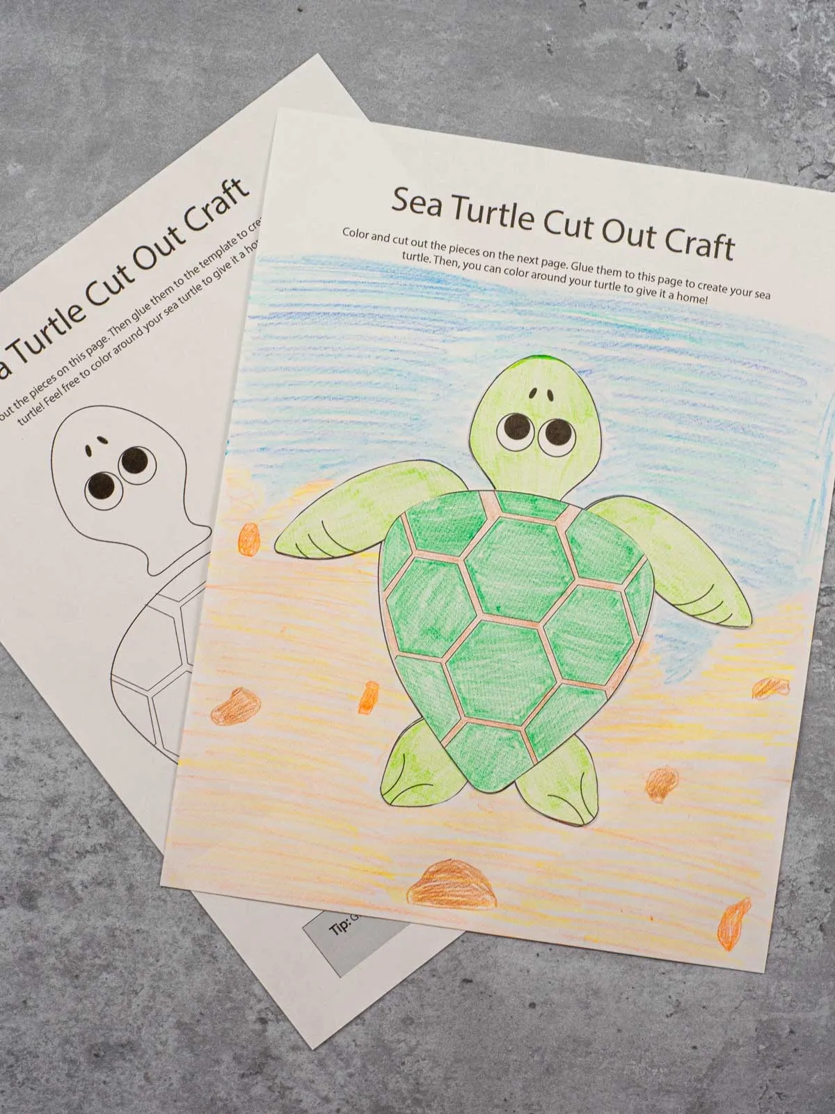 free printable sea turtle template free printable sea turtle template