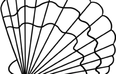 Seashell