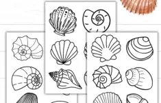 Seashell Coloring Pages Printable Blank