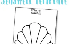 Seashell Template