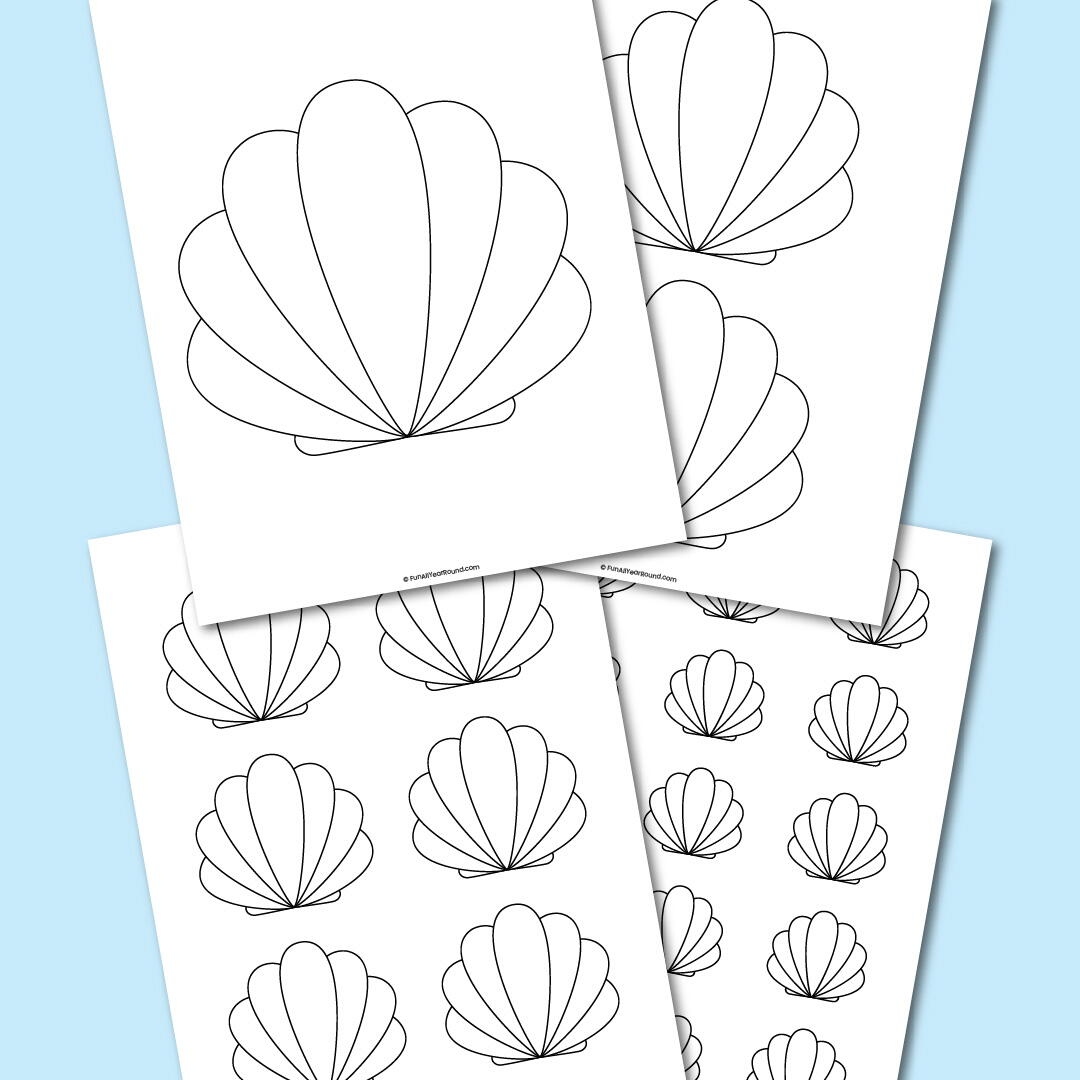 Seashell Template 158554 Seashell Template 158554