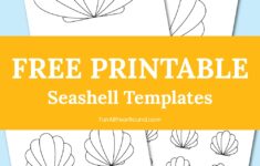 Seashell Template