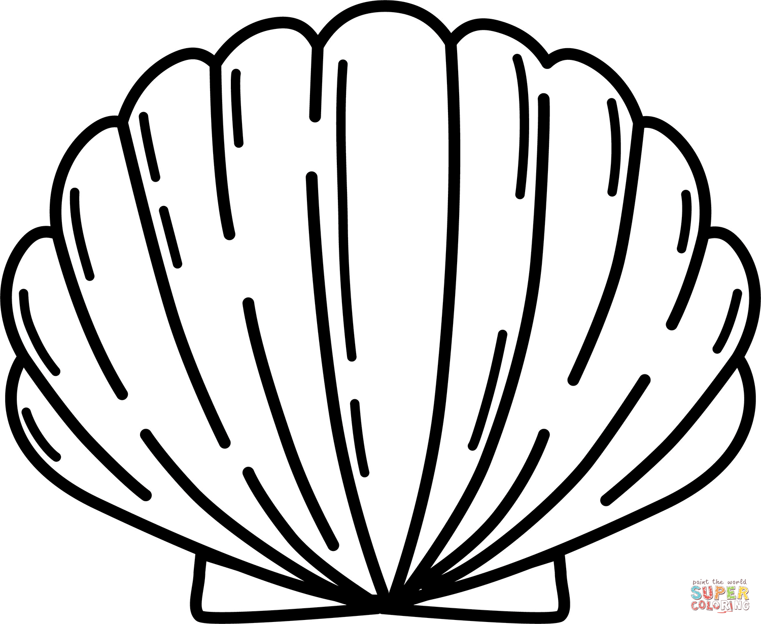 Seashell Seashell