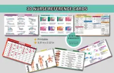 Set Of 30 Complete Nurse Reference Badge