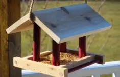 Simple Bird Feeder 1