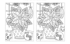 Spot The Difference Puzzle