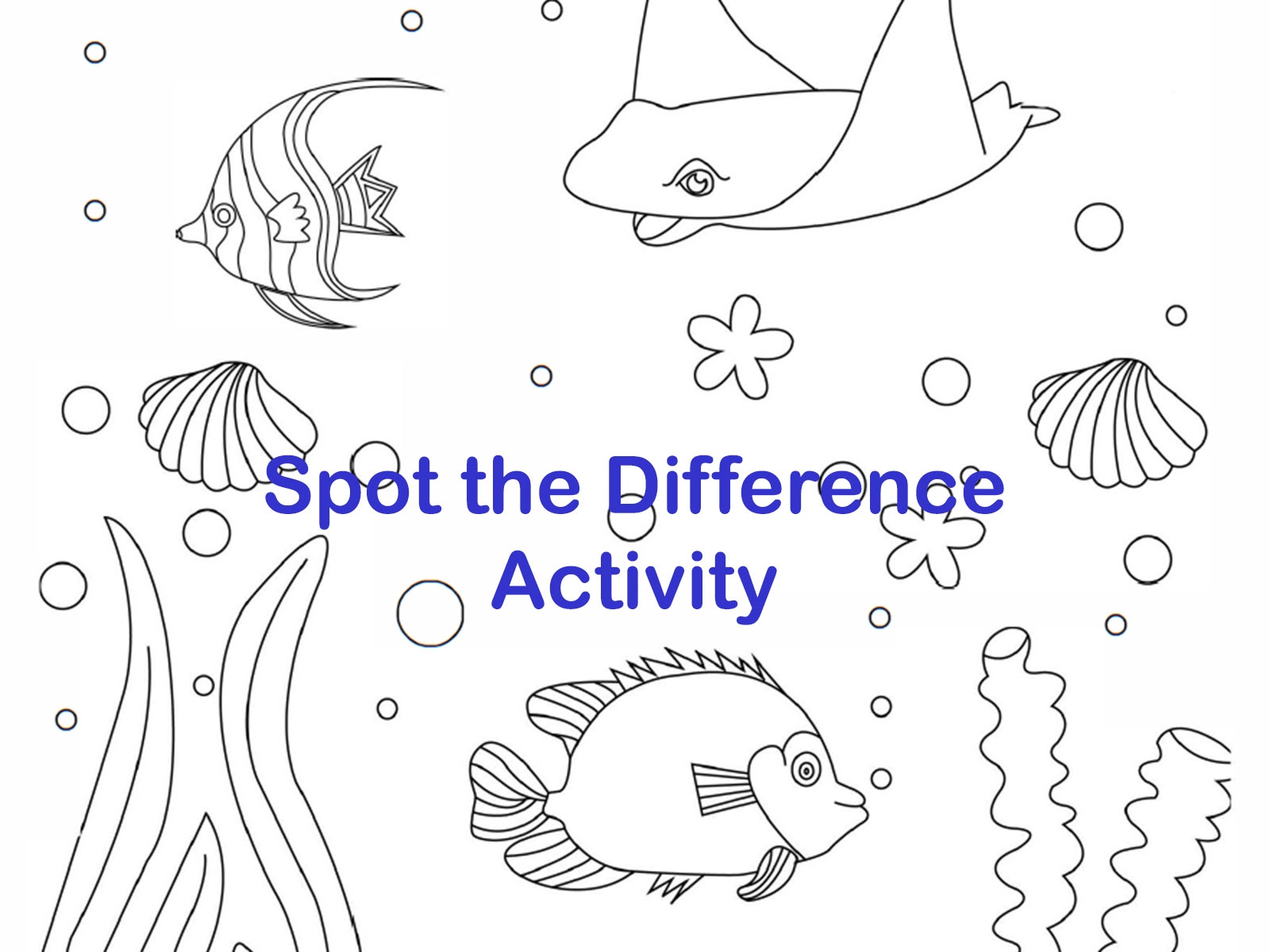 Spot The Difference