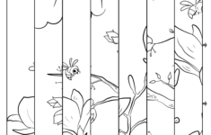 Spring Agamograph Template