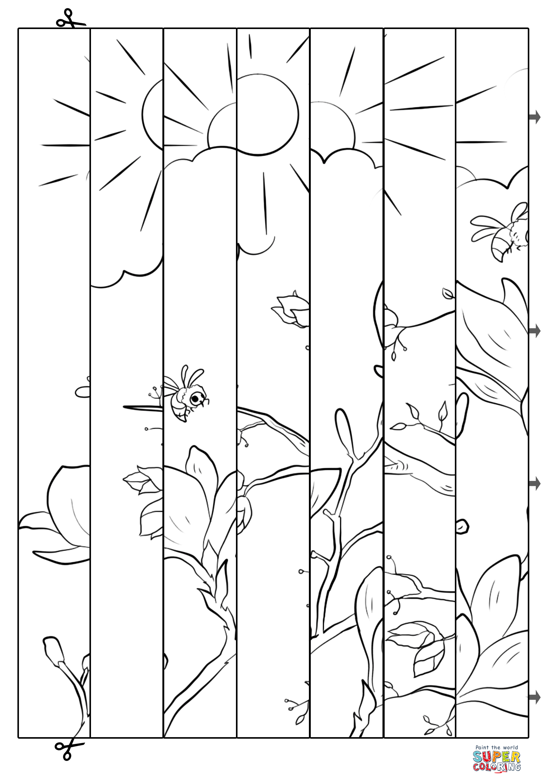 Spring Agamograph Template
