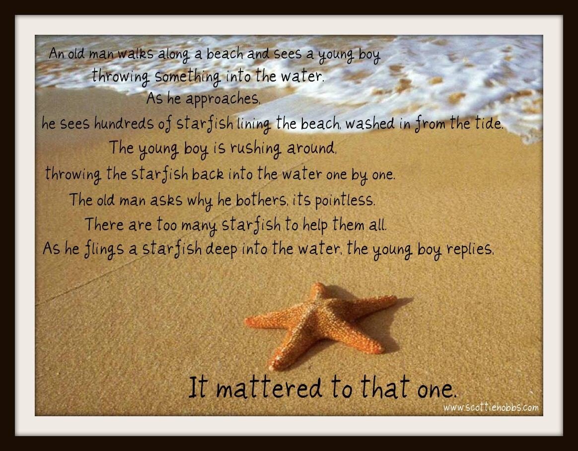 Starfish Story Starfish Story
