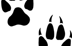Stencil Of Wolf Paw Print