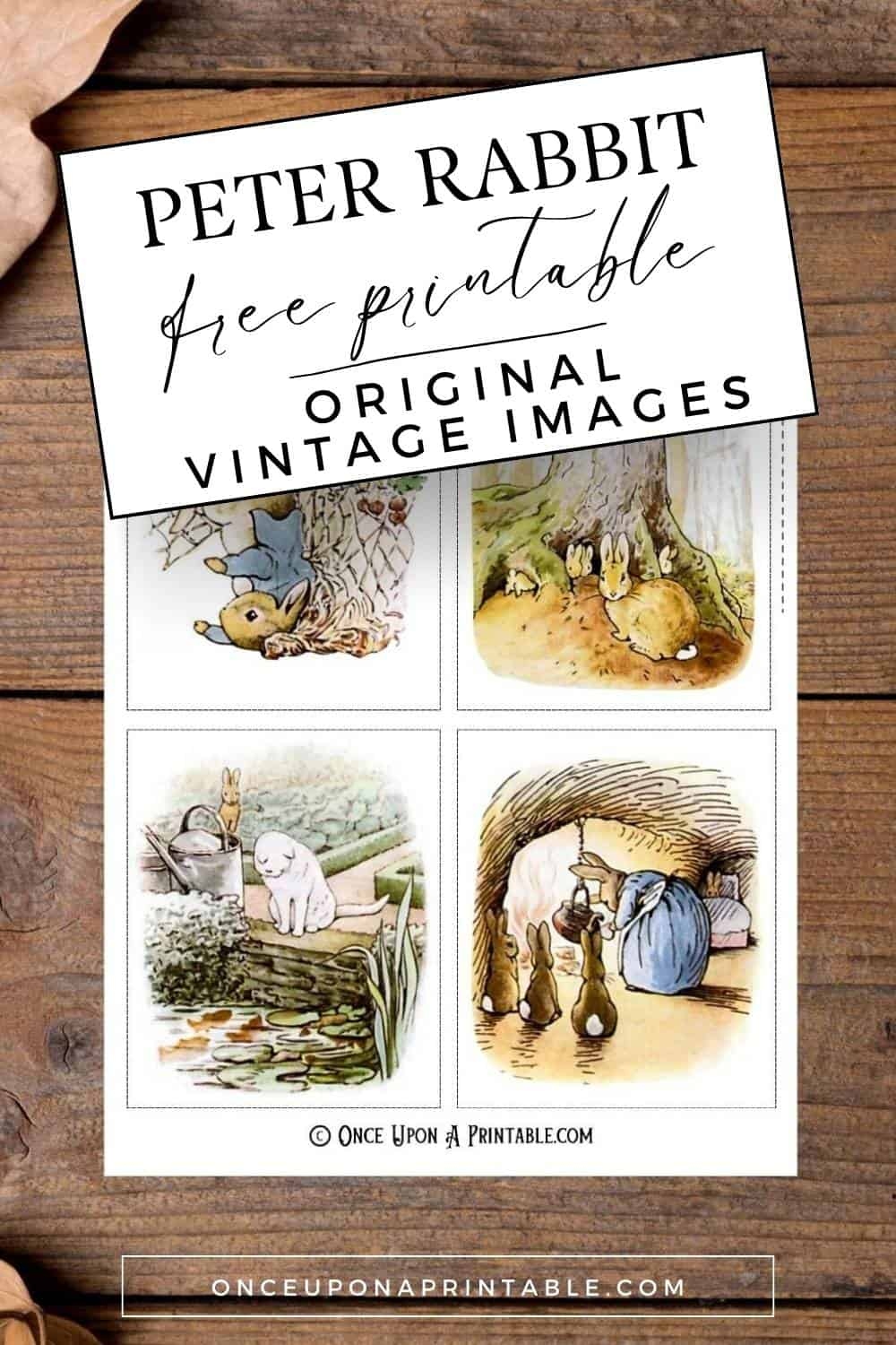 Tale Of Peter Rabbit Images Tale Of Peter Rabbit Images