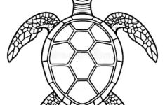 Template Elegant Sea Turtle Black White Outline Illustration Coloring Books Printable Worksheets Relaxing Creative Image427164239