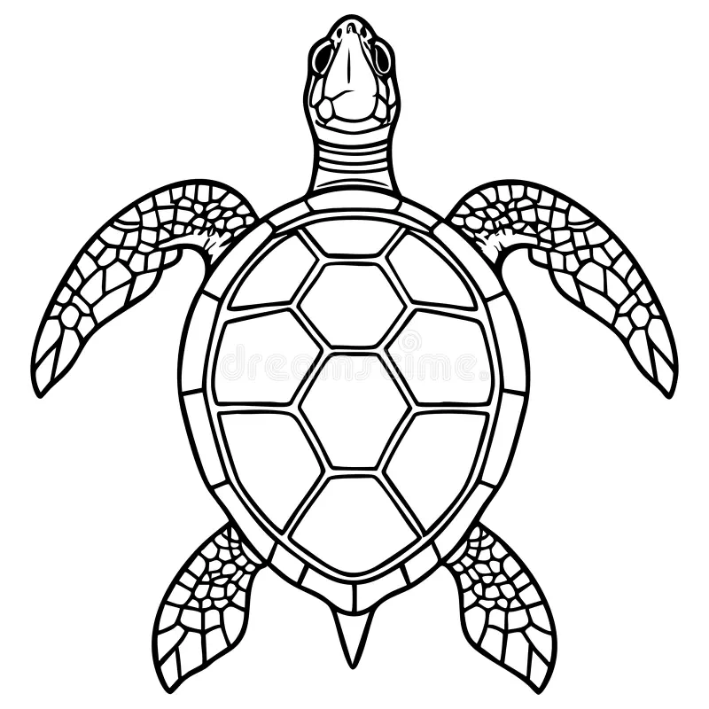 Template Elegant Sea Turtle Black White Outline Illustration Coloring Books Printable Worksheets Relaxing Creative Image427164239 Template Elegant Sea Turtle Black White Outline Illustration Coloring Books Printable Worksheets Relaxing Creative Image427164239