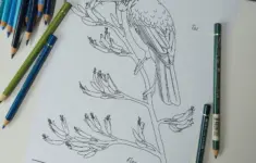 Tui On Flax Drawing Free Printable Colouring Page