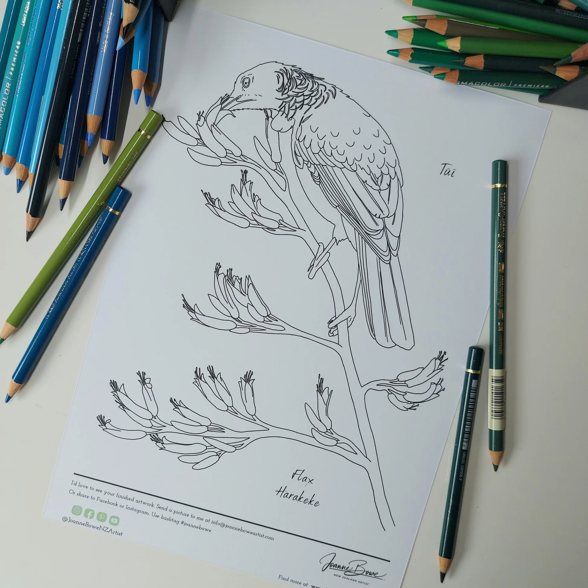 Tui On Flax Drawing Free Printable Colouring Page
