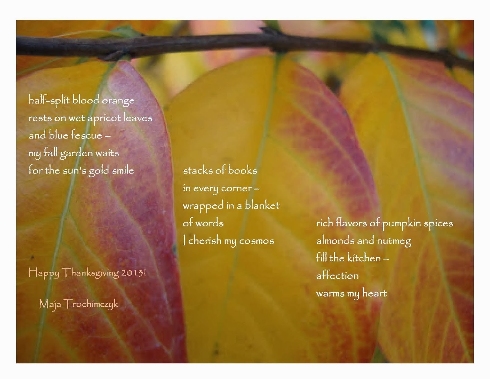 What Are We Thankful For Autumn Leaves What Are We Thankful For Autumn Leaves