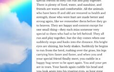 What The Rainbow Bridge Poem Gets Perfectly Right About Pet Loss