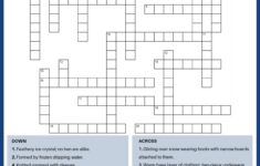 Winter Crossword Puzzle