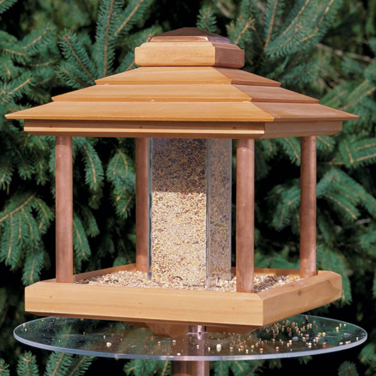bird feeder patterns free printable bird feeder patterns free printable