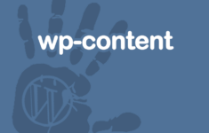 Wp Content Dir
