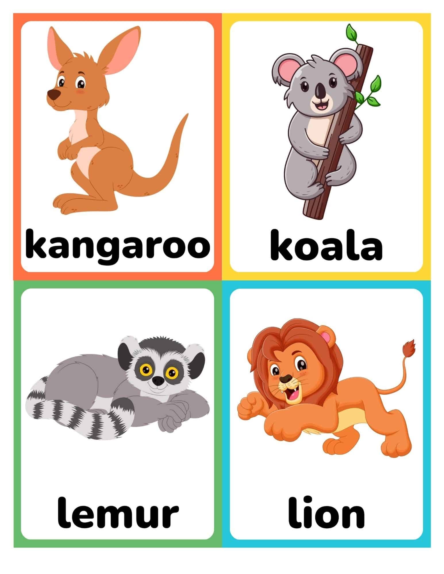 Zoo Animal Flashcards Zoo Animal Flashcards