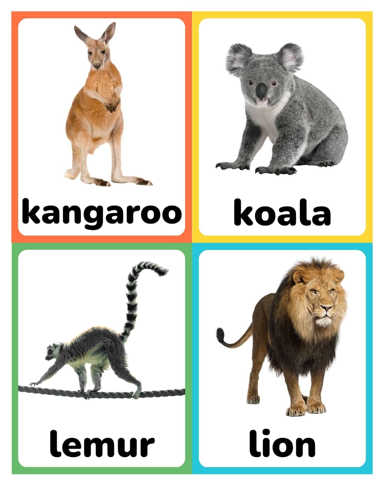 Zoo Animal Flashcards Zoo Animal Flashcards