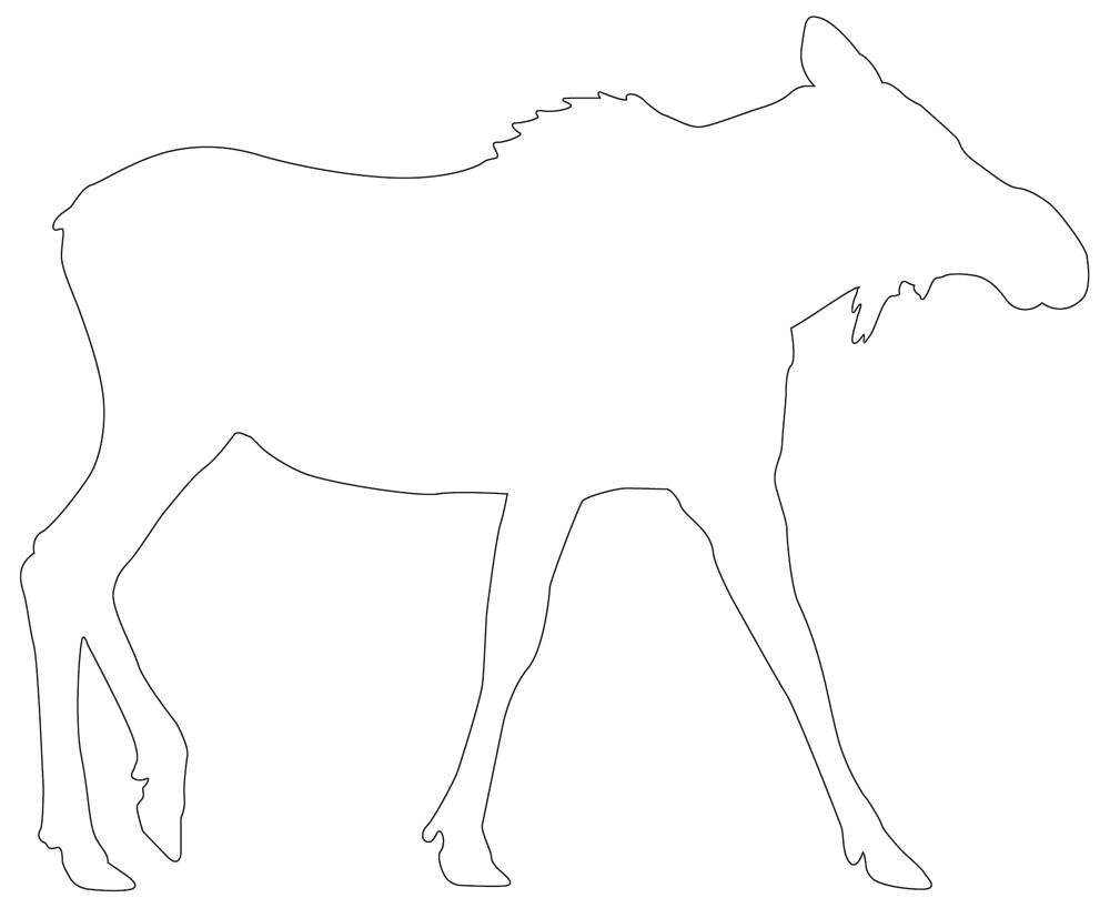Zoo Animal Outline Print19